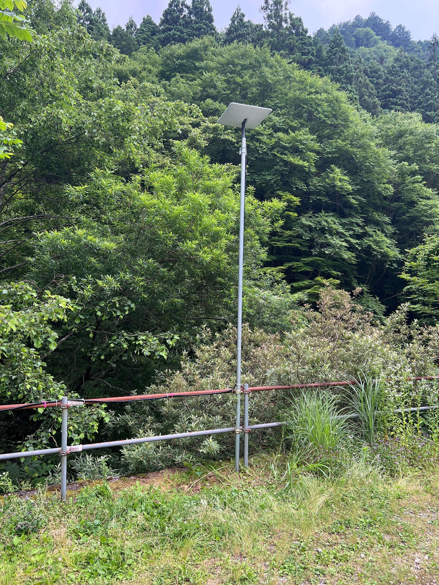 【試験運用中】小田深山渓谷エリアの一部でインターネットが使えます!