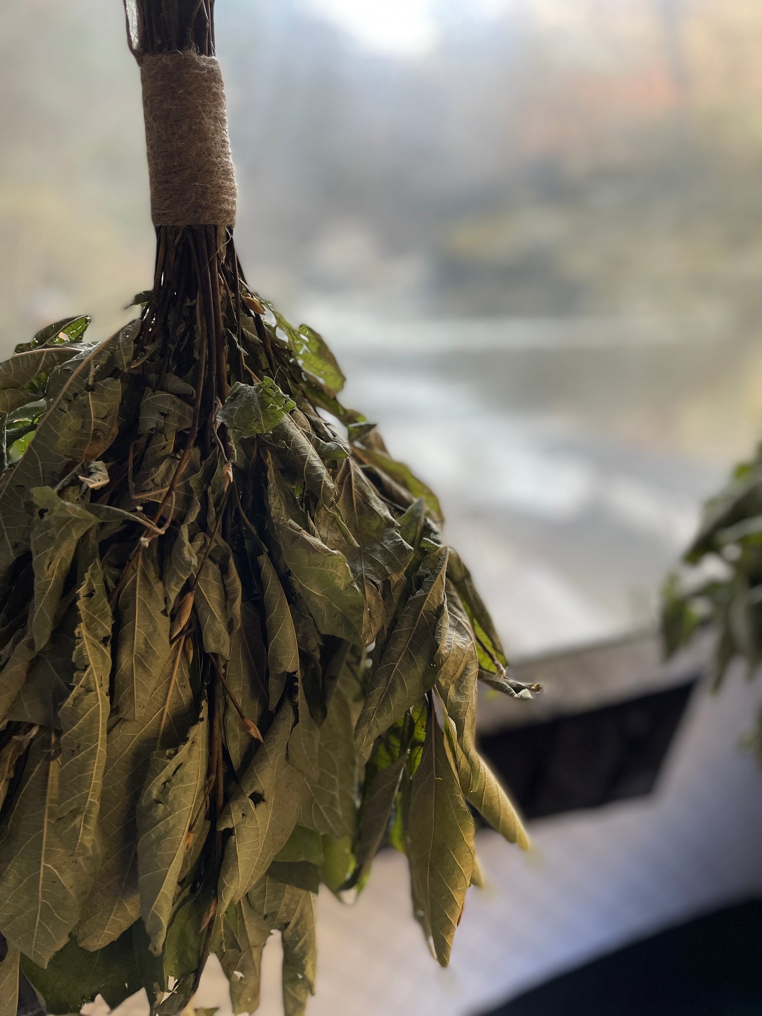 クロモジの和製ヴィヒタ